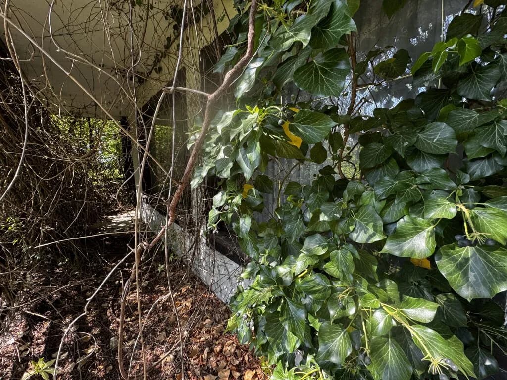 6-Zimmer-Haus kaufen in Gmunden – 166 m², € 520.000 – Bild 13 von 16