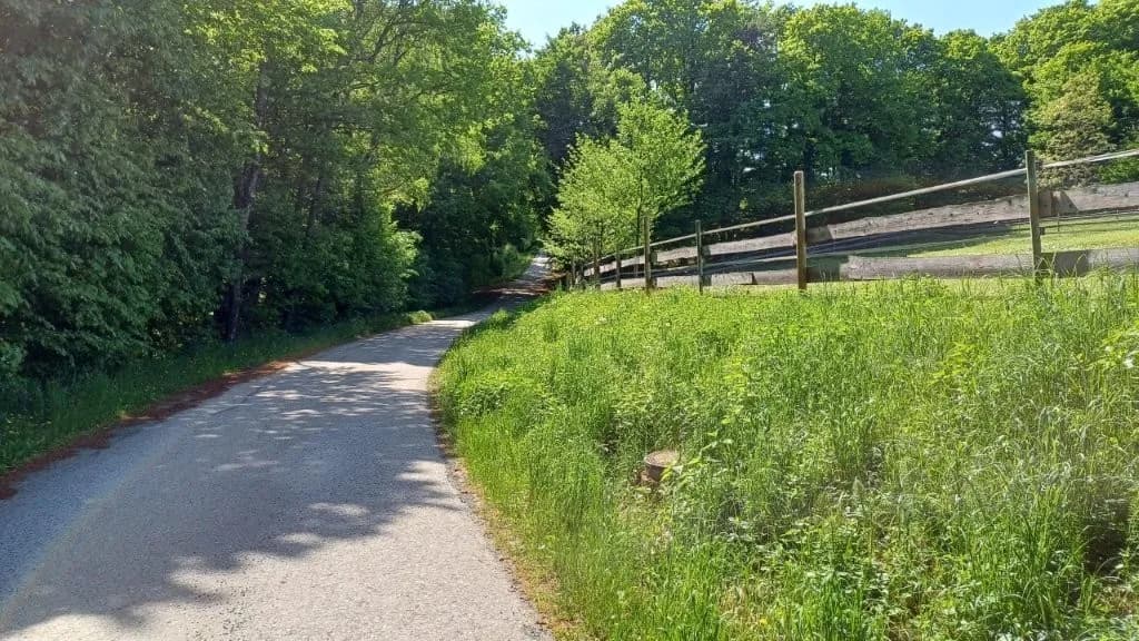 6-Zimmer-Gewerbeimmobilie kaufen in Jennersdorf – 172 m², € 559.000 – Bild 7 von 47