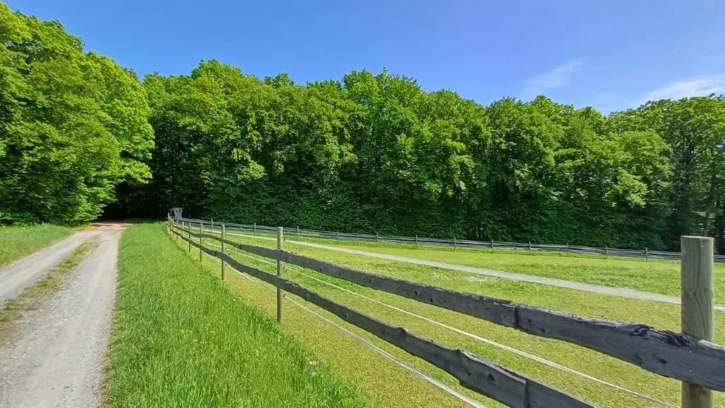 6-Zimmer-Gewerbeimmobilie kaufen in Jennersdorf – 172 m², € 559.000 – Bild 9 von 47