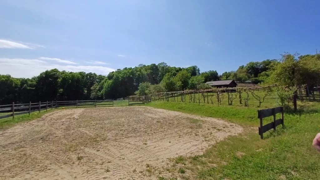 6-Zimmer-Gewerbeimmobilie kaufen in Jennersdorf – 172 m², € 559.000 – Bild 12 von 47