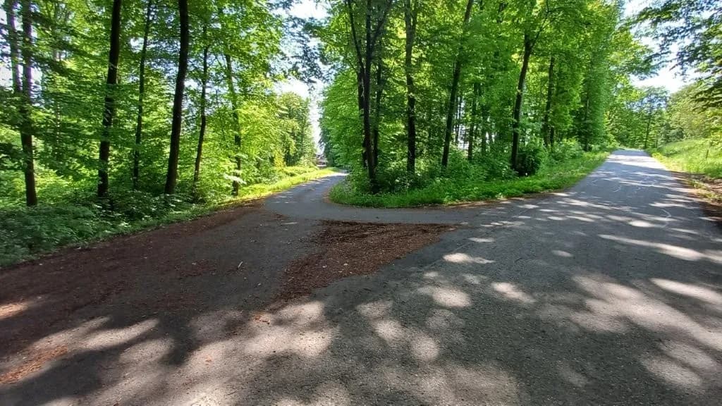 6-Zimmer-Gewerbeimmobilie kaufen in Jennersdorf – 172 m², € 559.000 – Bild 45 von 47