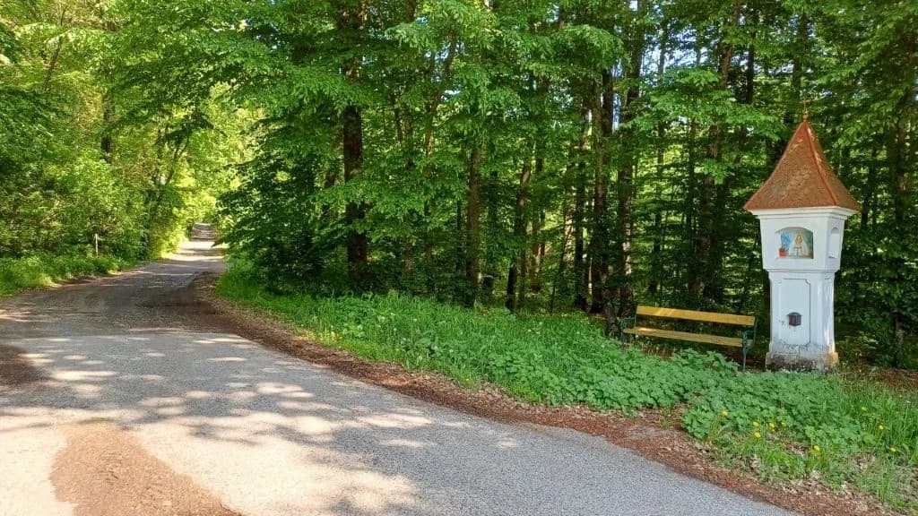 6-Zimmer-Gewerbeimmobilie kaufen in Jennersdorf – 172 m², € 559.000 – Bild 46 von 47