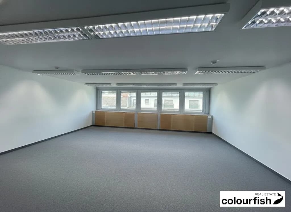 Gewerbeimmobilie mieten in Wien – 247 m², € 5.587 – Bild 4 von 5