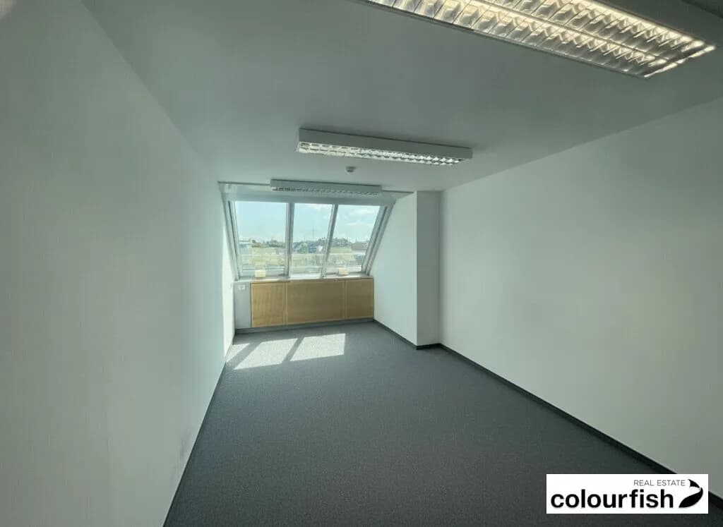 Gewerbeimmobilie mieten in Wien – 309 m², € 7.017 – Bild 4 von 7
