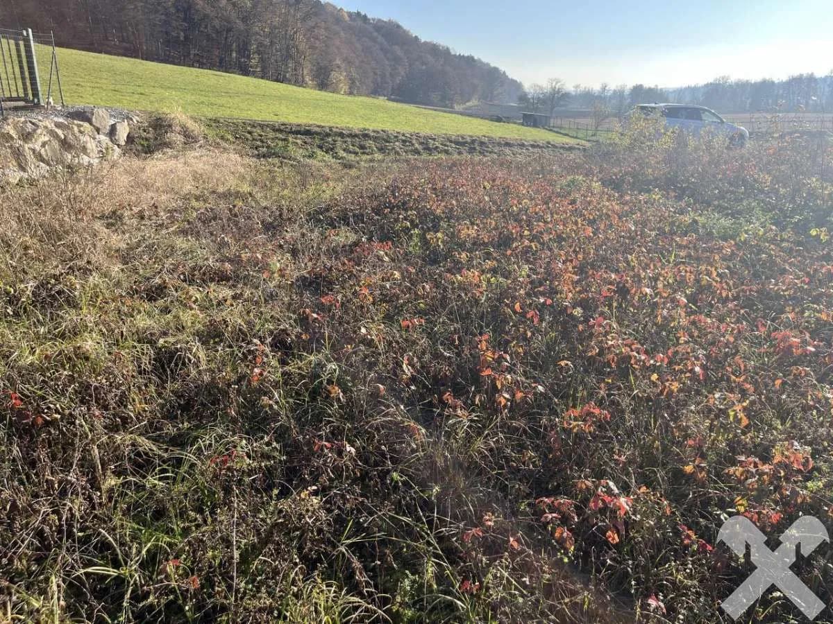 Grundstück kaufen in Südoststeiermark – 628 m², € 18.840 – Bild 3 von 4