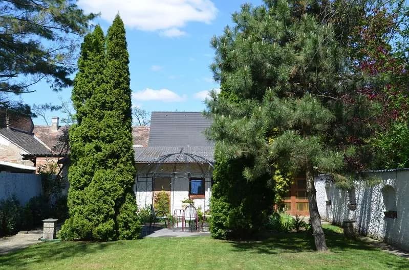 5-Zimmer-Wohnung mieten in Mistelbach – 140 m², € 850 – Bild 2 von 25