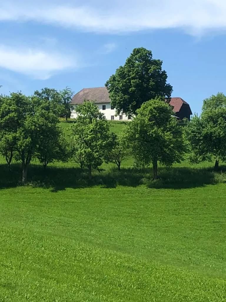 Immobilie kaufen in Steyr-Land – 400 m², € 5.000.000 – Bild 2 von 27