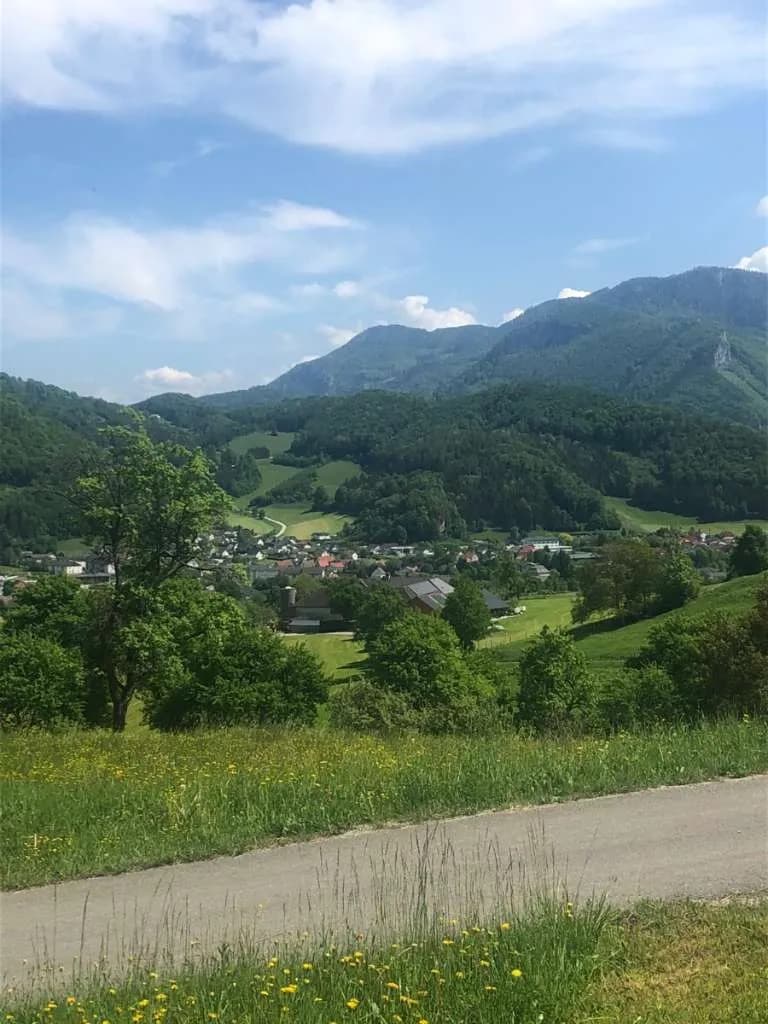 Immobilie kaufen in Steyr-Land – 400 m², € 5.000.000 – Bild 3 von 27