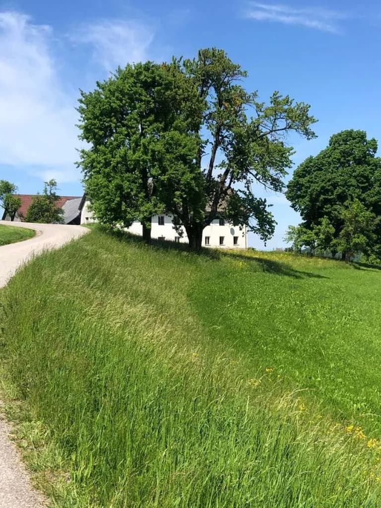 Immobilie kaufen in Steyr-Land – 400 m², € 5.000.000 – Bild 5 von 27