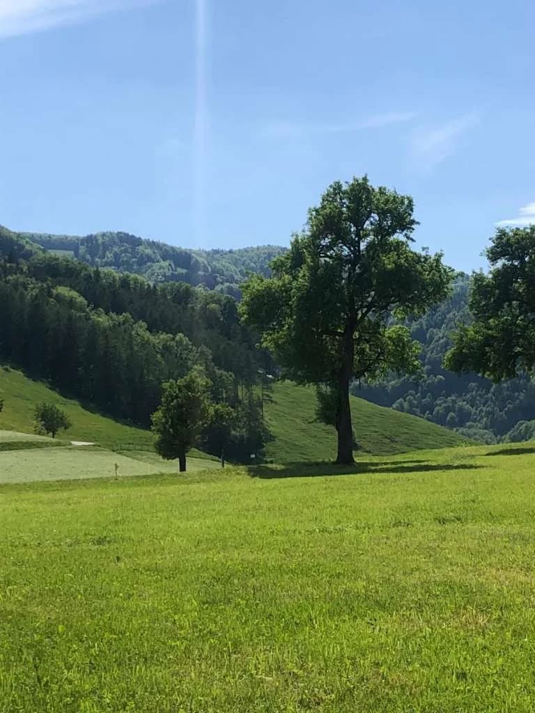 Immobilie kaufen in Steyr-Land – 400 m², € 5.000.000 – Bild 9 von 27
