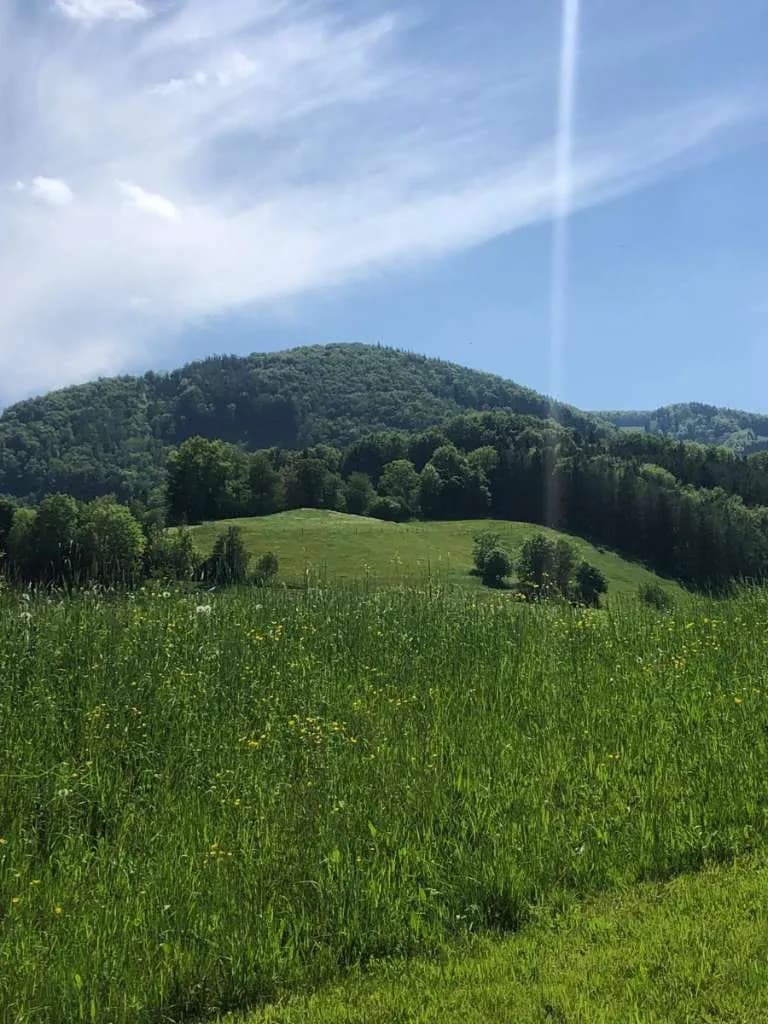 Immobilie kaufen in Steyr-Land – 400 m², € 5.000.000 – Bild 10 von 27