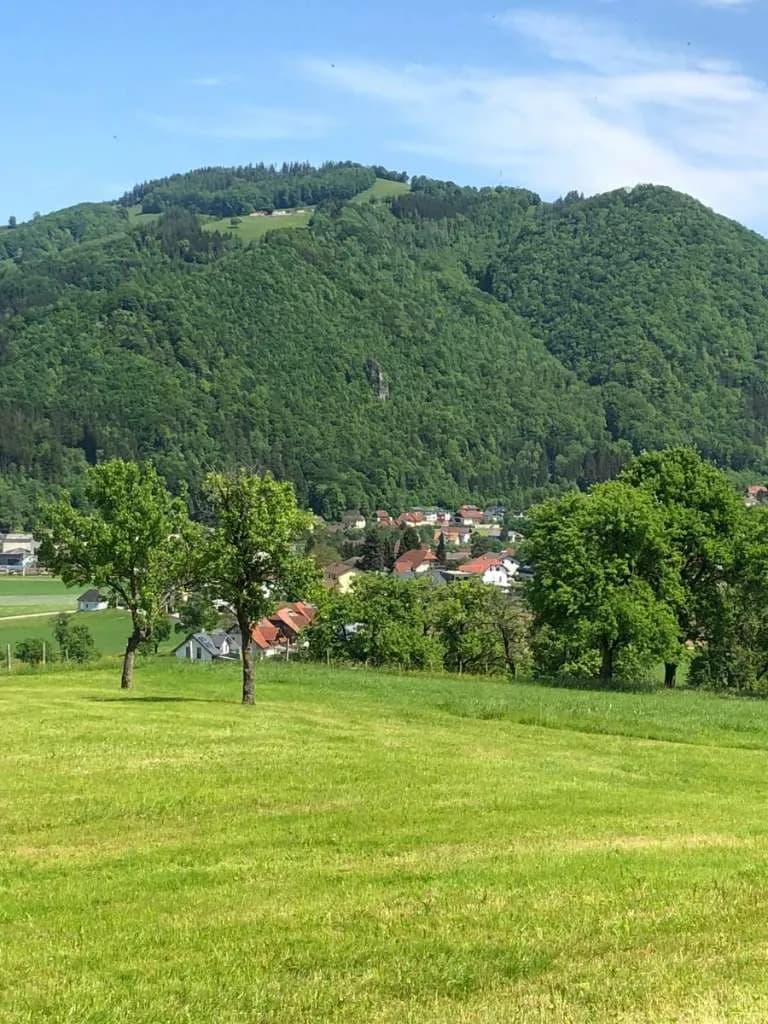 Immobilie kaufen in Steyr-Land – 400 m², € 5.000.000 – Bild 12 von 27