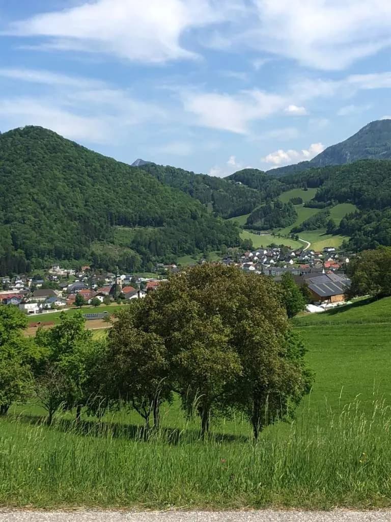 Immobilie kaufen in Steyr-Land – 400 m², € 5.000.000 – Bild 14 von 27
