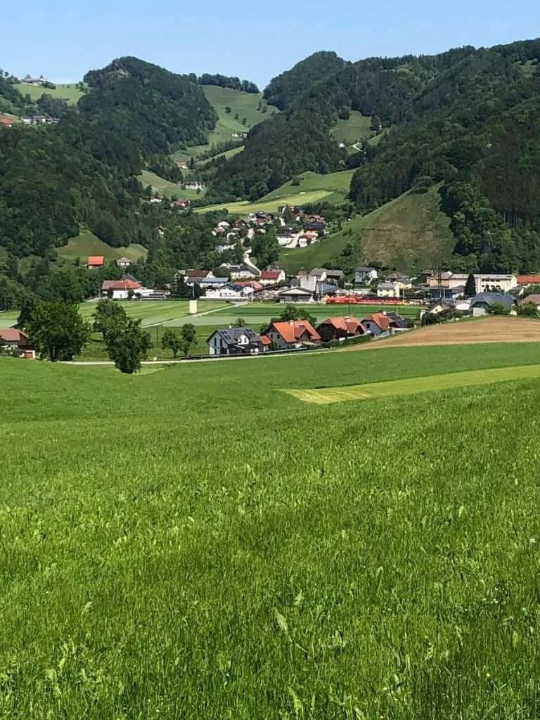 Immobilie kaufen in Steyr-Land – 400 m², € 5.000.000 – Bild 15 von 27
