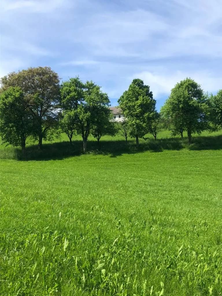 Immobilie kaufen in Steyr-Land – 400 m², € 5.000.000 – Bild 16 von 27