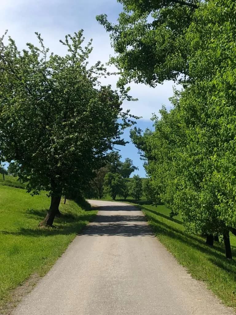 Immobilie kaufen in Steyr-Land – 400 m², € 5.000.000 – Bild 17 von 27