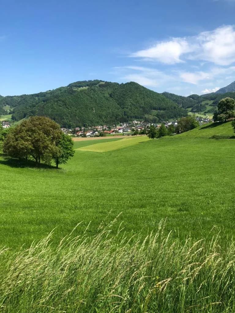 Immobilie kaufen in Steyr-Land – 400 m², € 5.000.000 – Bild 18 von 27