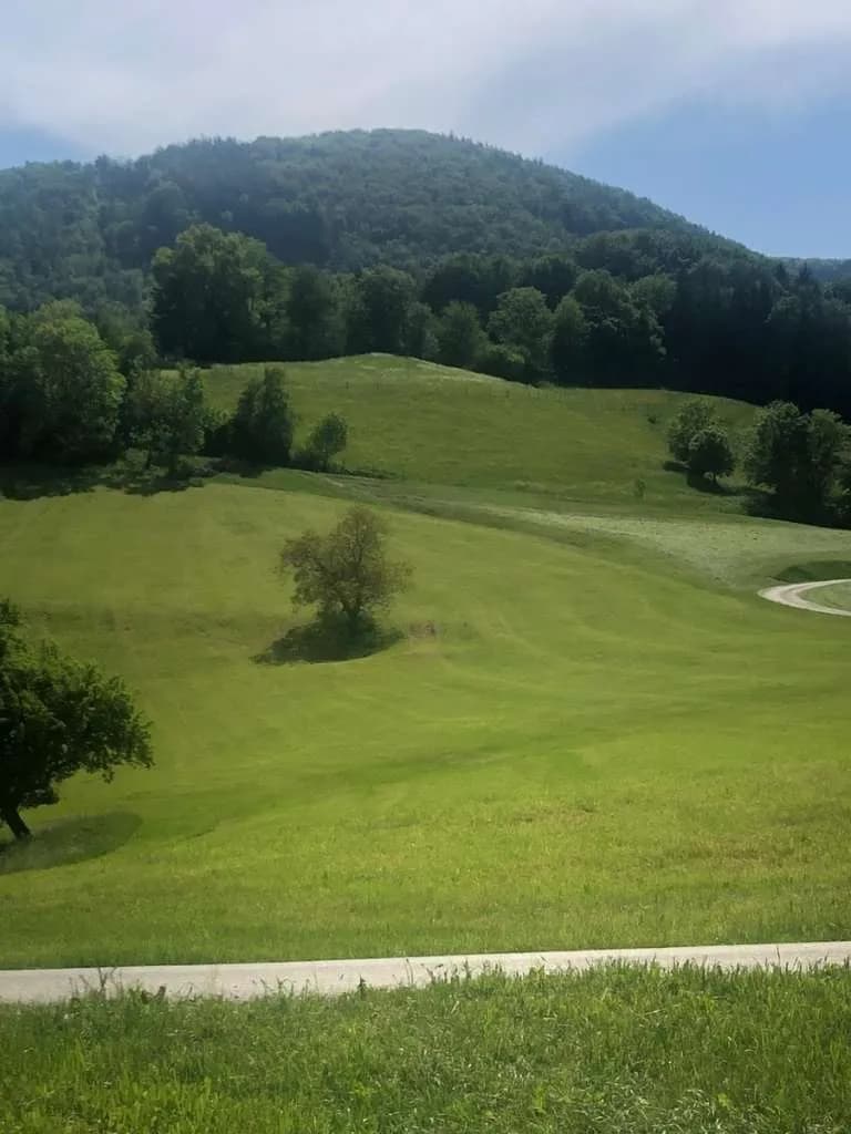 Immobilie kaufen in Steyr-Land – 400 m², € 5.000.000 – Bild 19 von 27