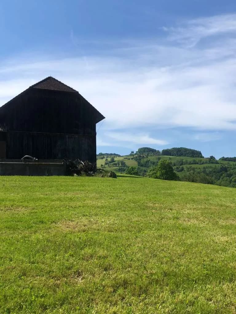 Immobilie kaufen in Steyr-Land – 400 m², € 5.000.000 – Bild 22 von 27