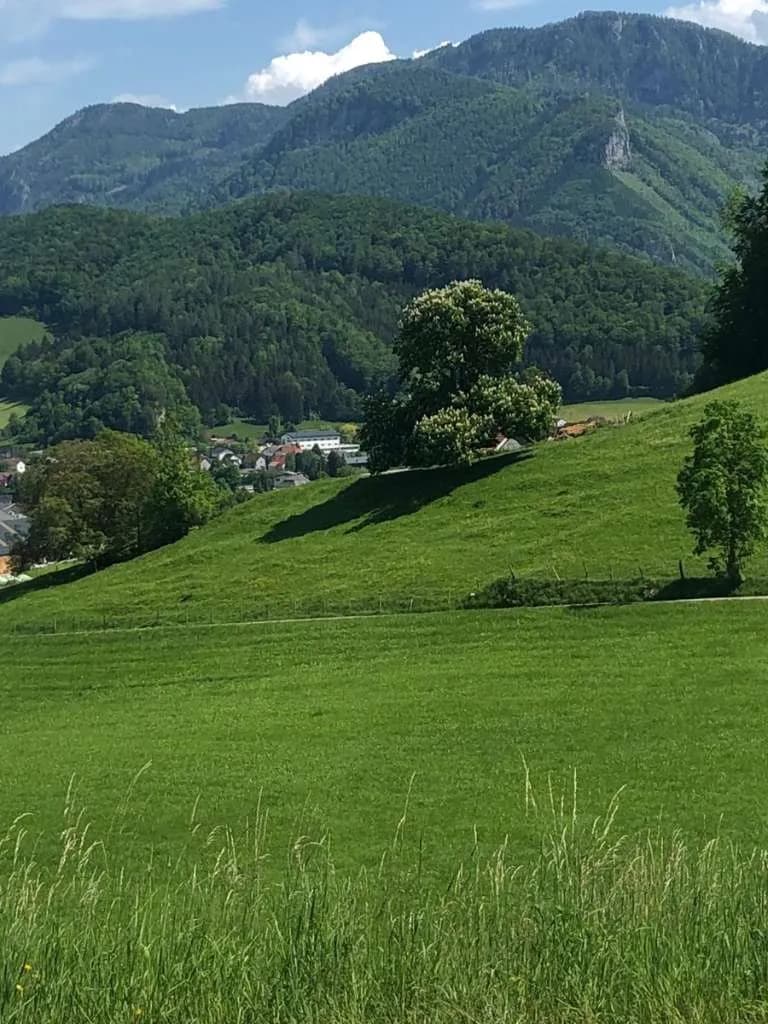 Immobilie kaufen in Steyr-Land – 400 m², € 5.000.000 – Bild 24 von 27