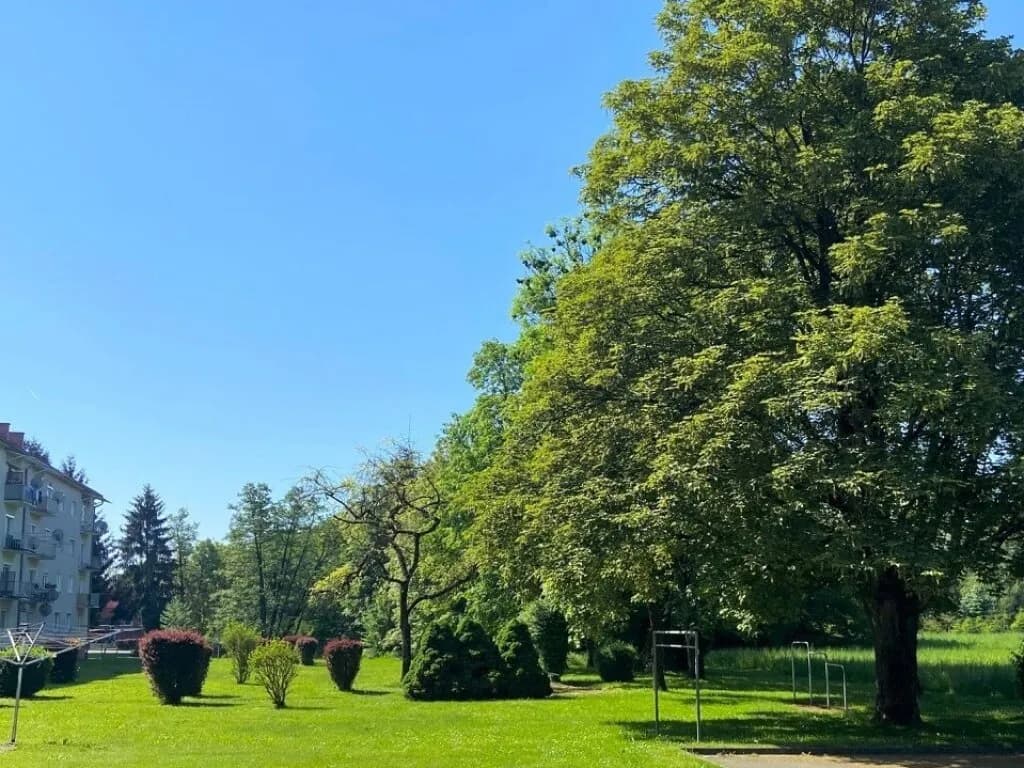 4-Zimmer-Wohnung kaufen in Südoststeiermark – 96,43 m², € 115.000 – Bild 11 von 14