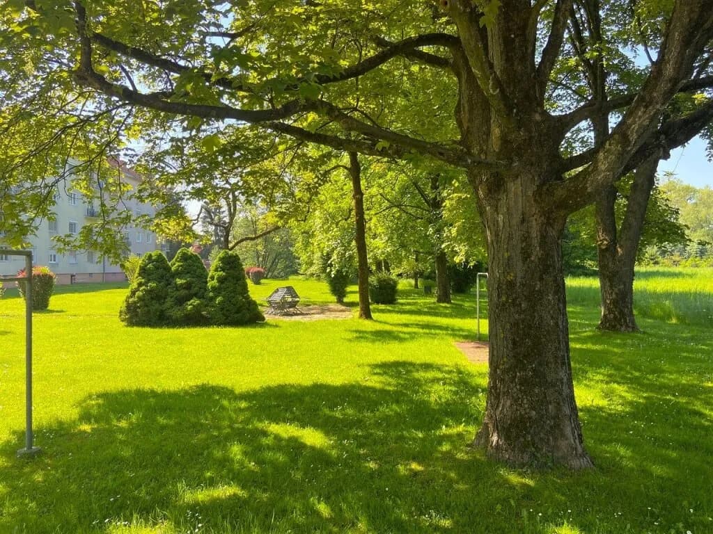 4-Zimmer-Wohnung kaufen in Südoststeiermark – 96,43 m², € 115.000 – Bild 12 von 14