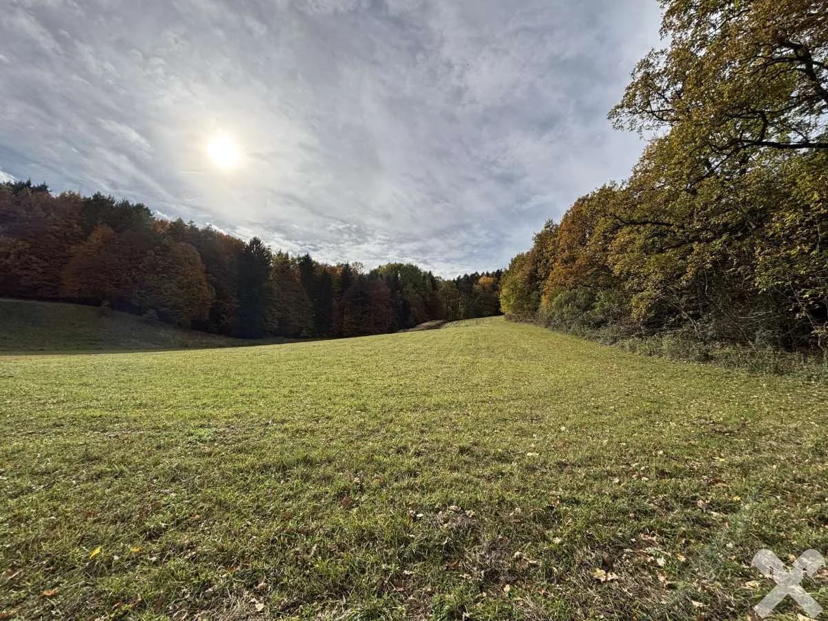 Grundstück kaufen in Hartberg-Fürstenfeld – 27 442 m², € 95.000 – Bild 2 von 8