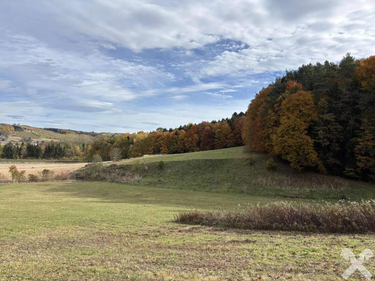 Grundstück kaufen in Hartberg-Fürstenfeld – 27 442 m², € 95.000 – Bild 5 von 8