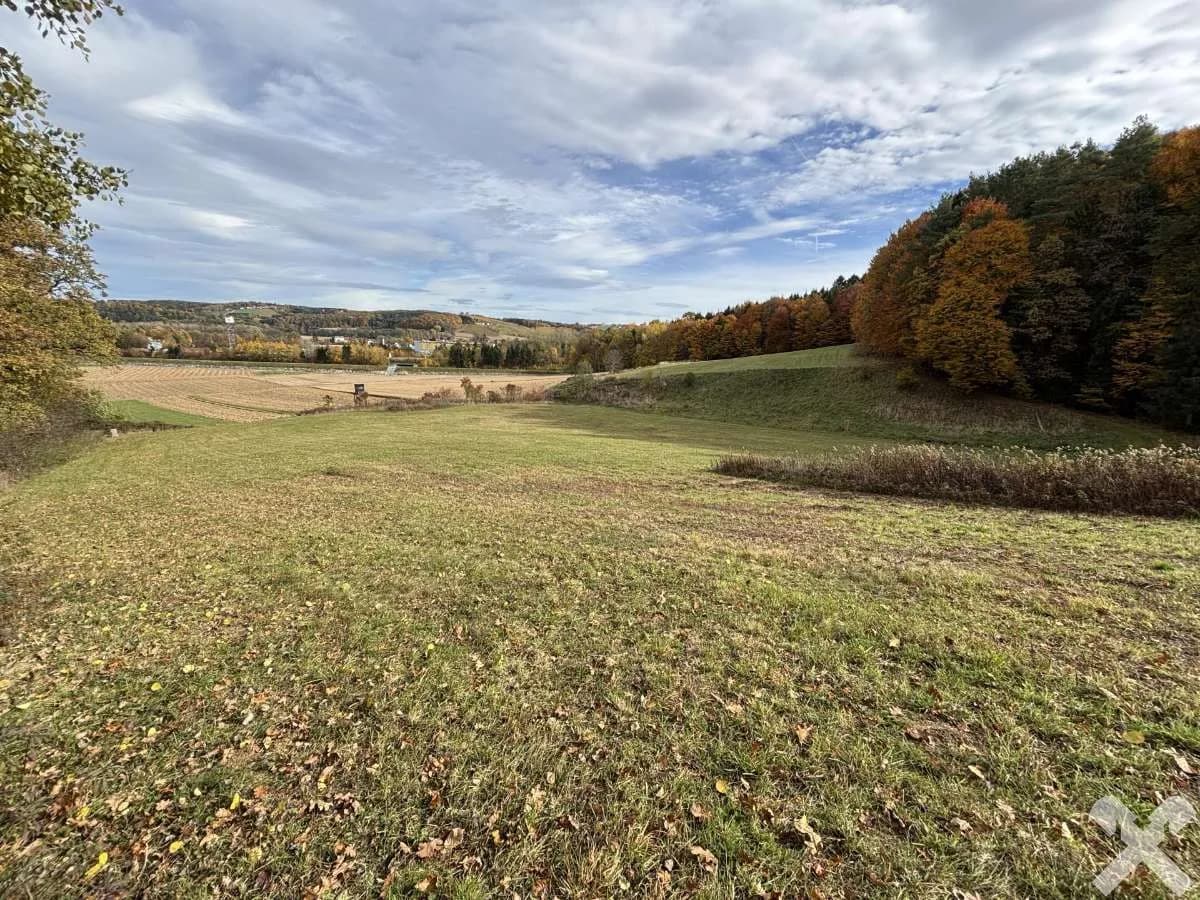 Grundstück kaufen in Hartberg-Fürstenfeld – 27 442 m², € 95.000 – Bild 6 von 8
