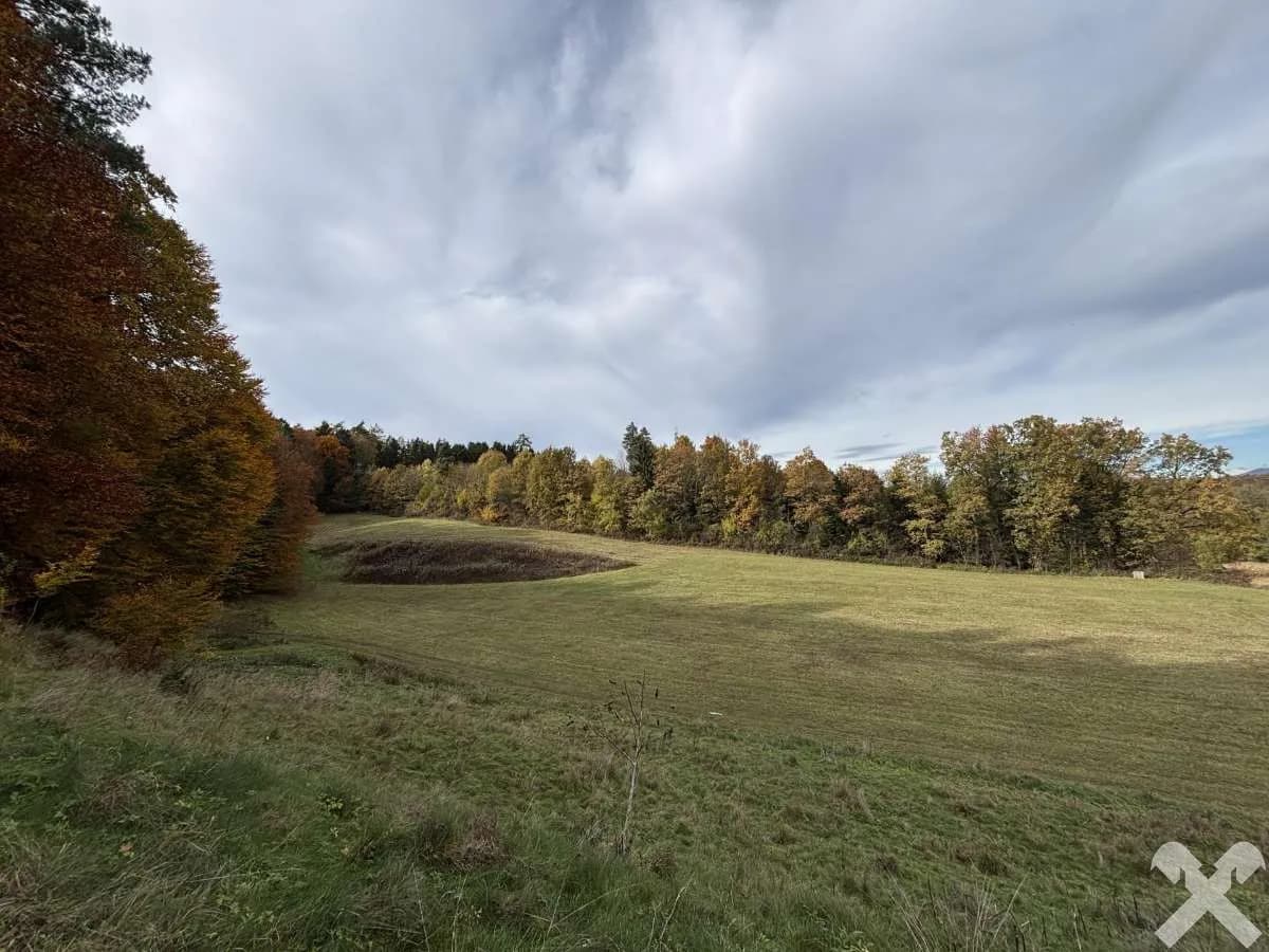 Grundstück kaufen in Hartberg-Fürstenfeld – 27 442 m², € 95.000 – Bild 7 von 8