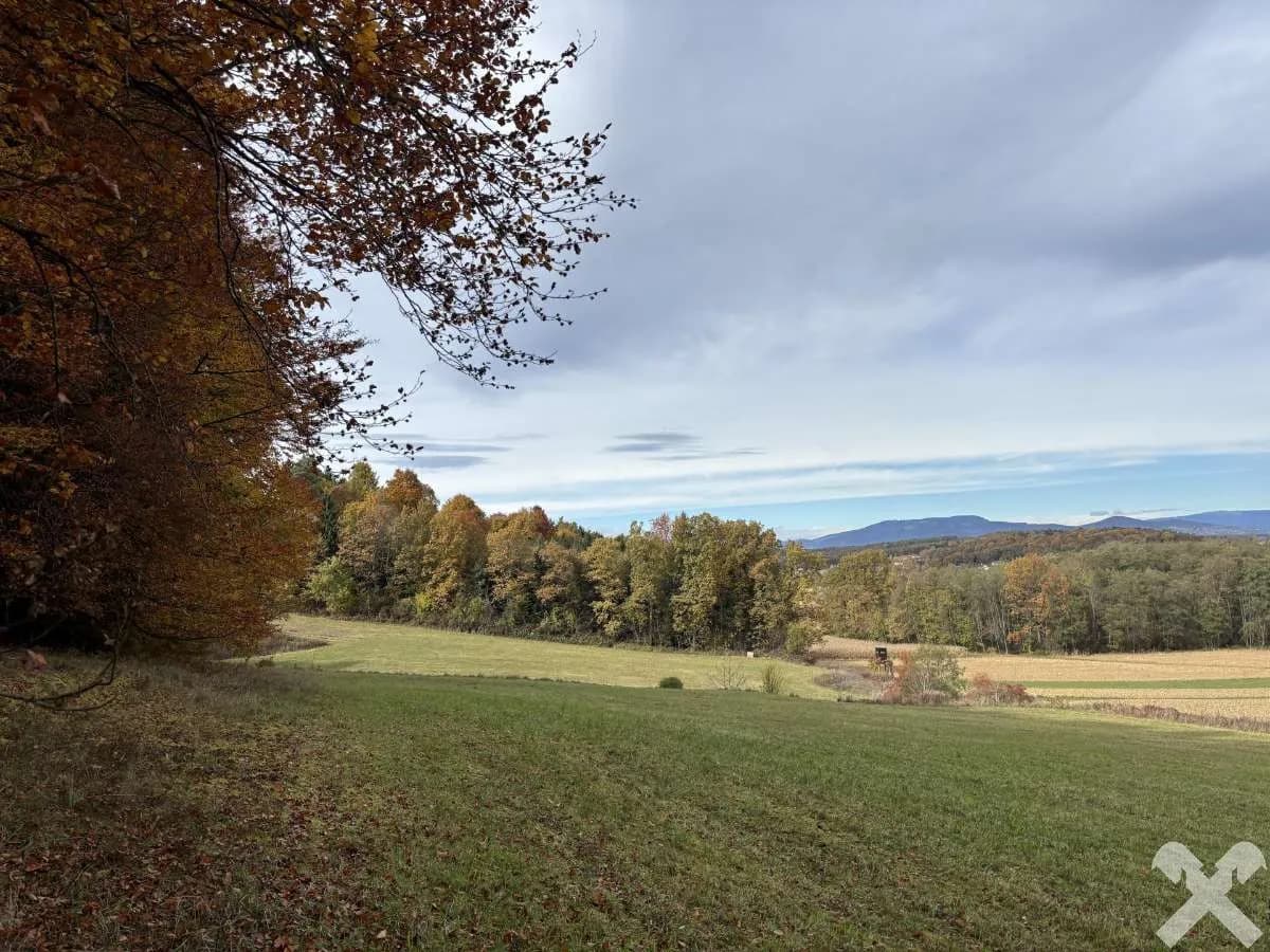 Grundstück kaufen in Hartberg-Fürstenfeld – 27 442 m², € 95.000 – Bild 8 von 8