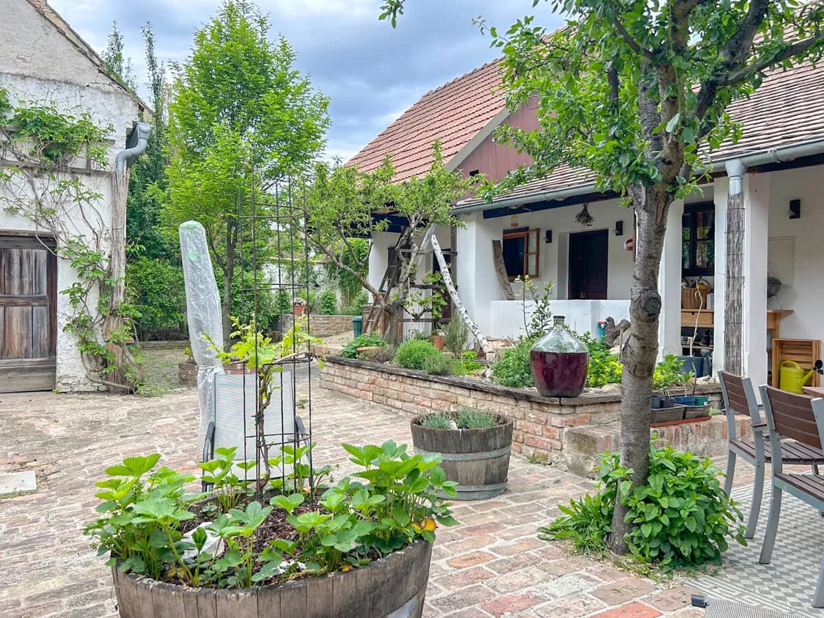 7-Zimmer-Haus kaufen in Mistelbach – 207 m², € 780.000 – Bild 2 von 19