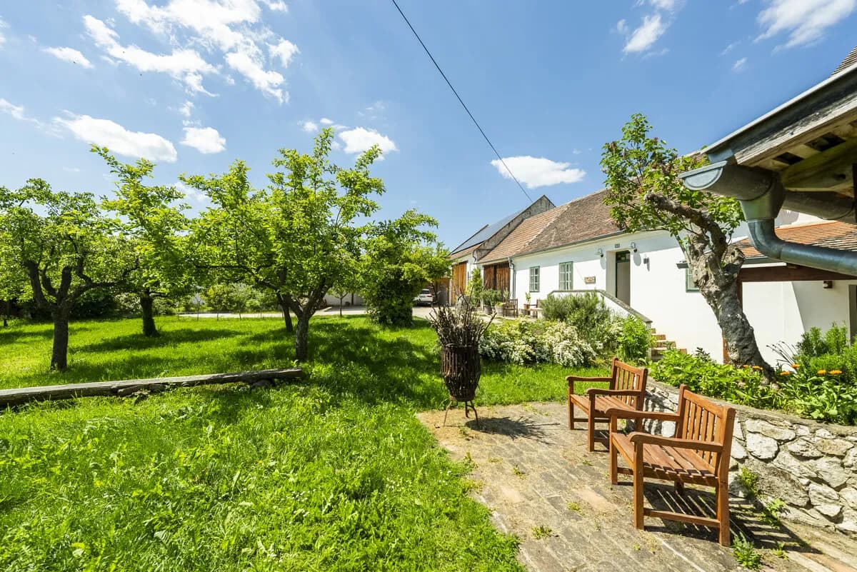 7-Zimmer-Haus kaufen in Mistelbach – 207 m², € 780.000 – Bild 5 von 19
