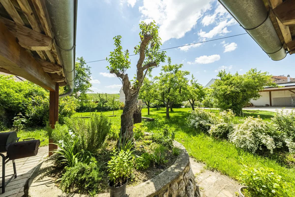 7-Zimmer-Haus kaufen in Mistelbach – 207 m², € 780.000 – Bild 6 von 19