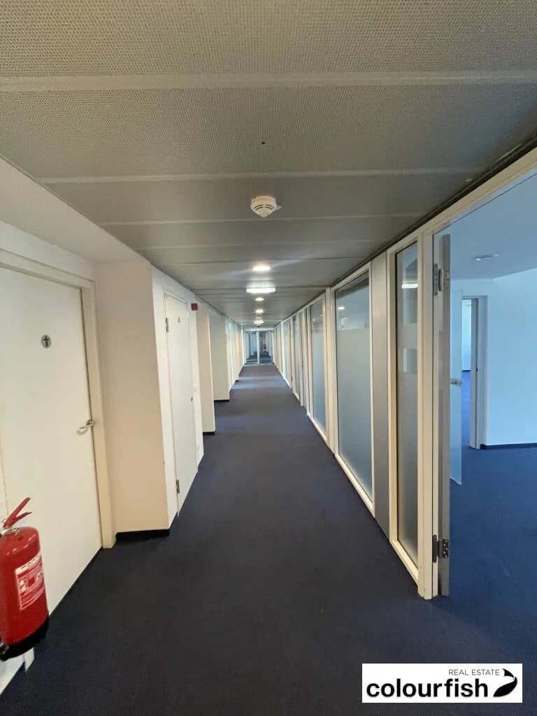 Gewerbeimmobilie mieten in Wien – 1 270 m², € 28.830 – Bild 11 von 23