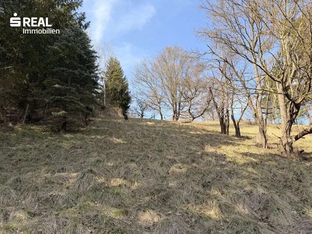Haus kaufen in Tulln – 130 m², € 500.000 – Bild 10 von 41