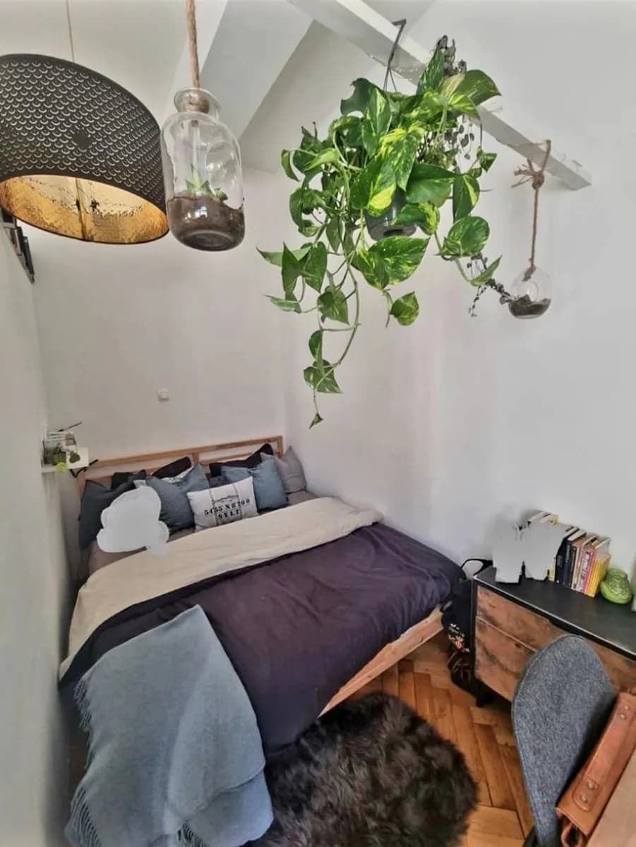 1-Zimmer-Wohnung mieten in Graz – 39 m², € 665 – Bild 6 von 25