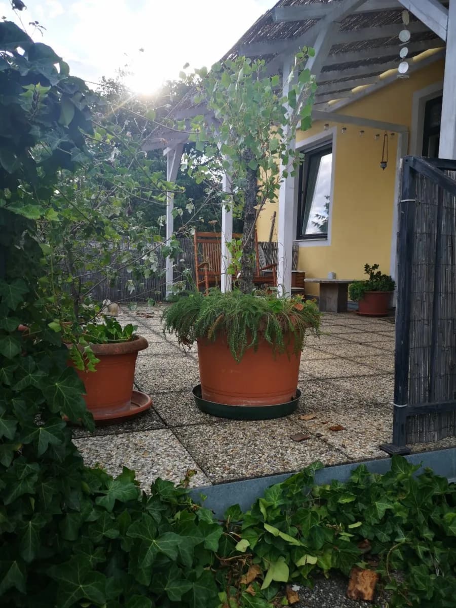 4-Zimmer-Haus mieten in Mödling – 129,12 m², € 1.960 – Bild 2 von 9