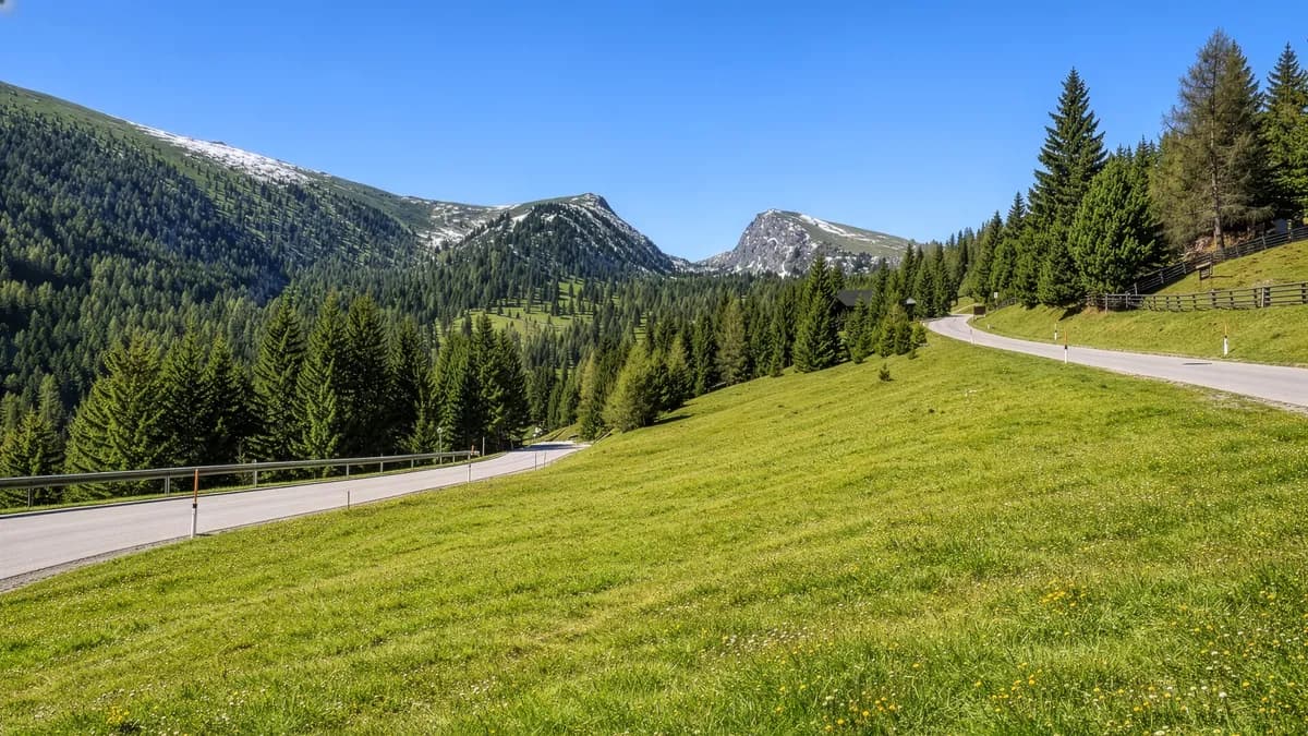 Grundstück kaufen in Feldkirchen – 5 631 m² – Bild 8 von 13