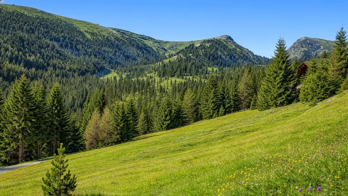 Grundstück kaufen in Feldkirchen – 5 631 m² – Bild 9 von 13