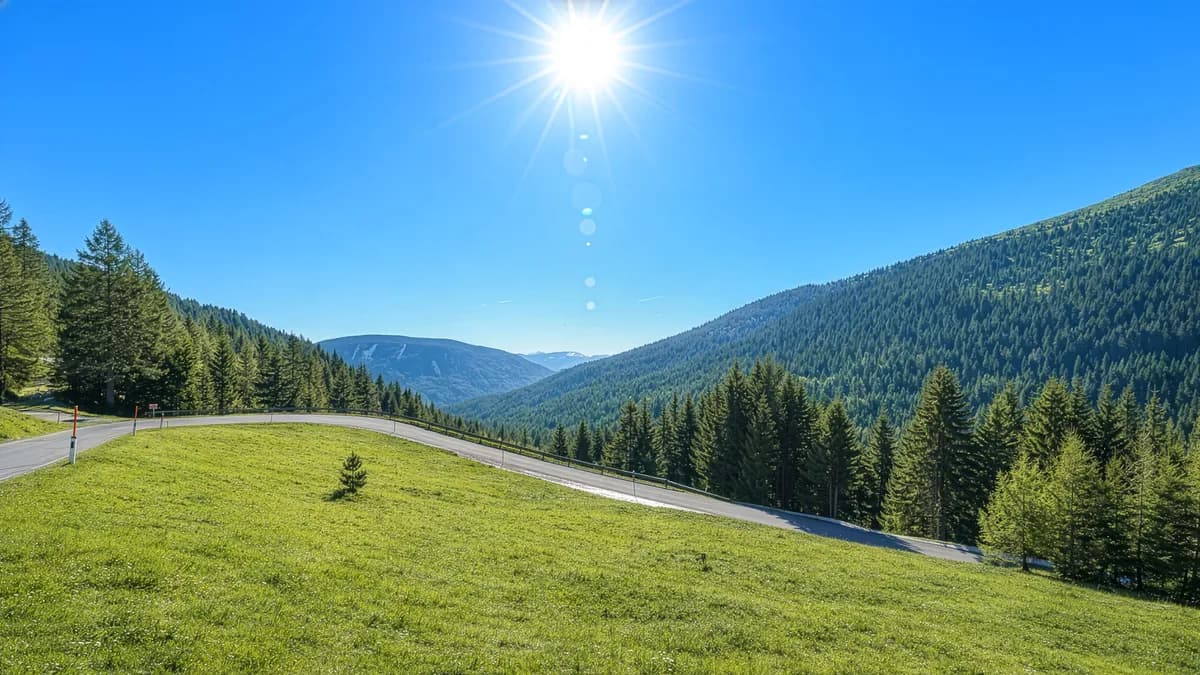 Grundstück kaufen in Feldkirchen – 5 631 m² – Bild 10 von 13