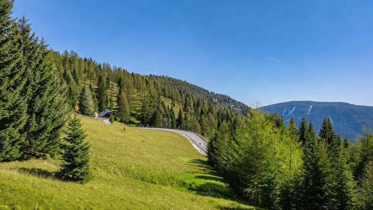Grundstück kaufen in Feldkirchen – 5 631 m² – Bild 11 von 13
