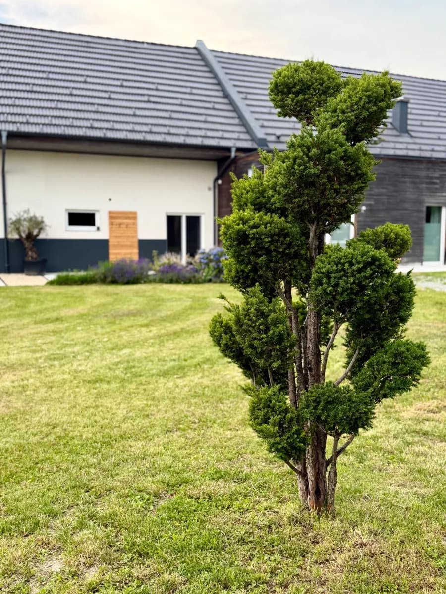 Immobilie kaufen in Hartberg-Fürstenfeld – 363 m², € 2.250.000 – Bild 8 von 30