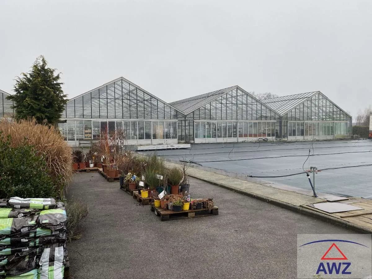 Immobilie kaufen in Güssing – 24 000 m² – Bild 3 von 3