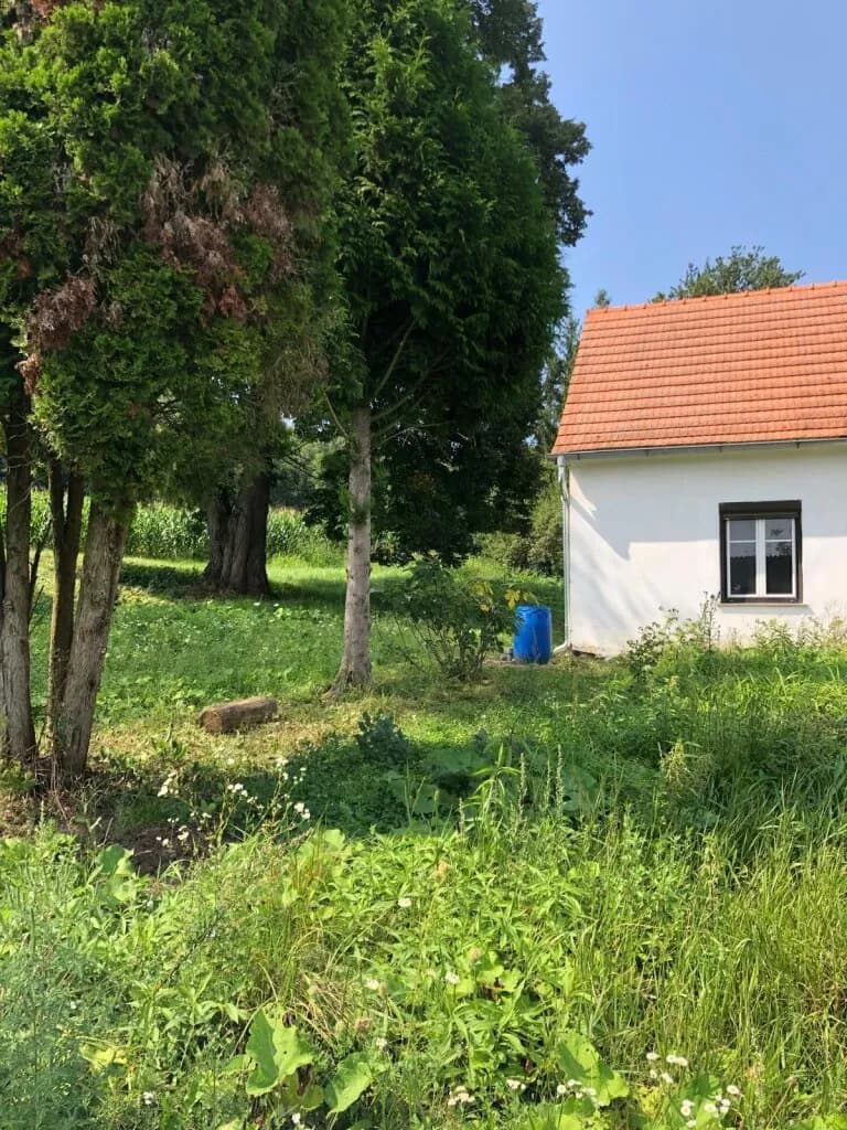 3-Zimmer-Haus kaufen in Güssing – 110 m², € 240.000 – Bild 6 von 12