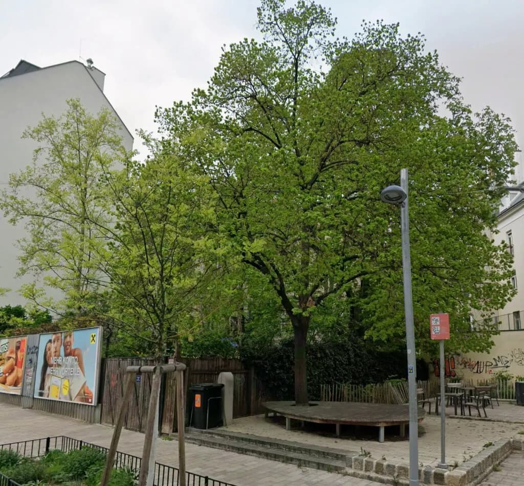 Immobilie mieten in Wien – 217 m², € 725