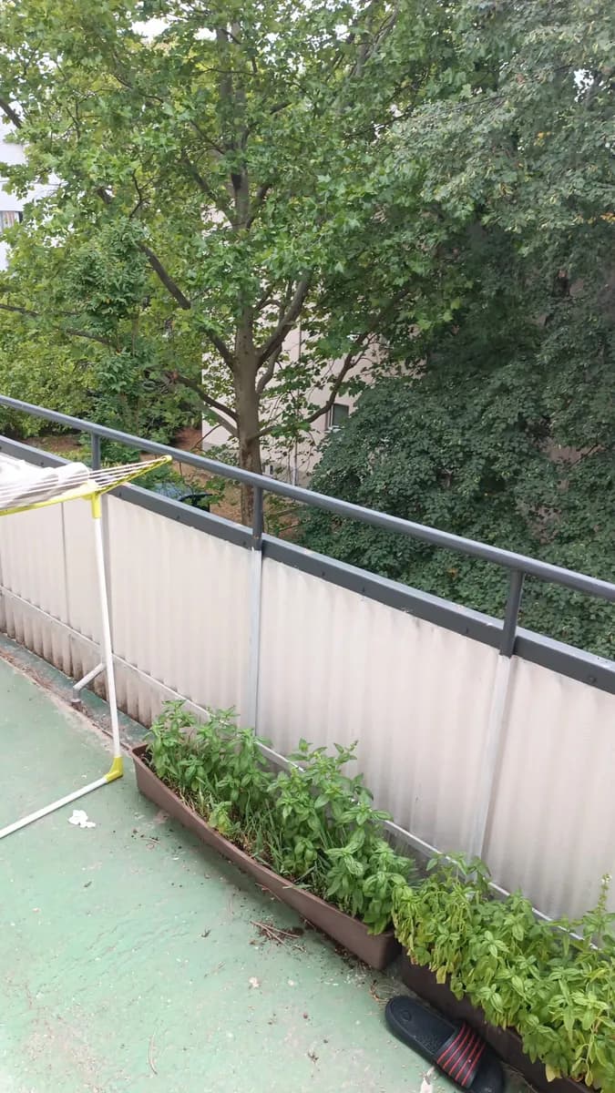 4-Zimmer-Wohnung mieten in Wien – 78 m², € 800