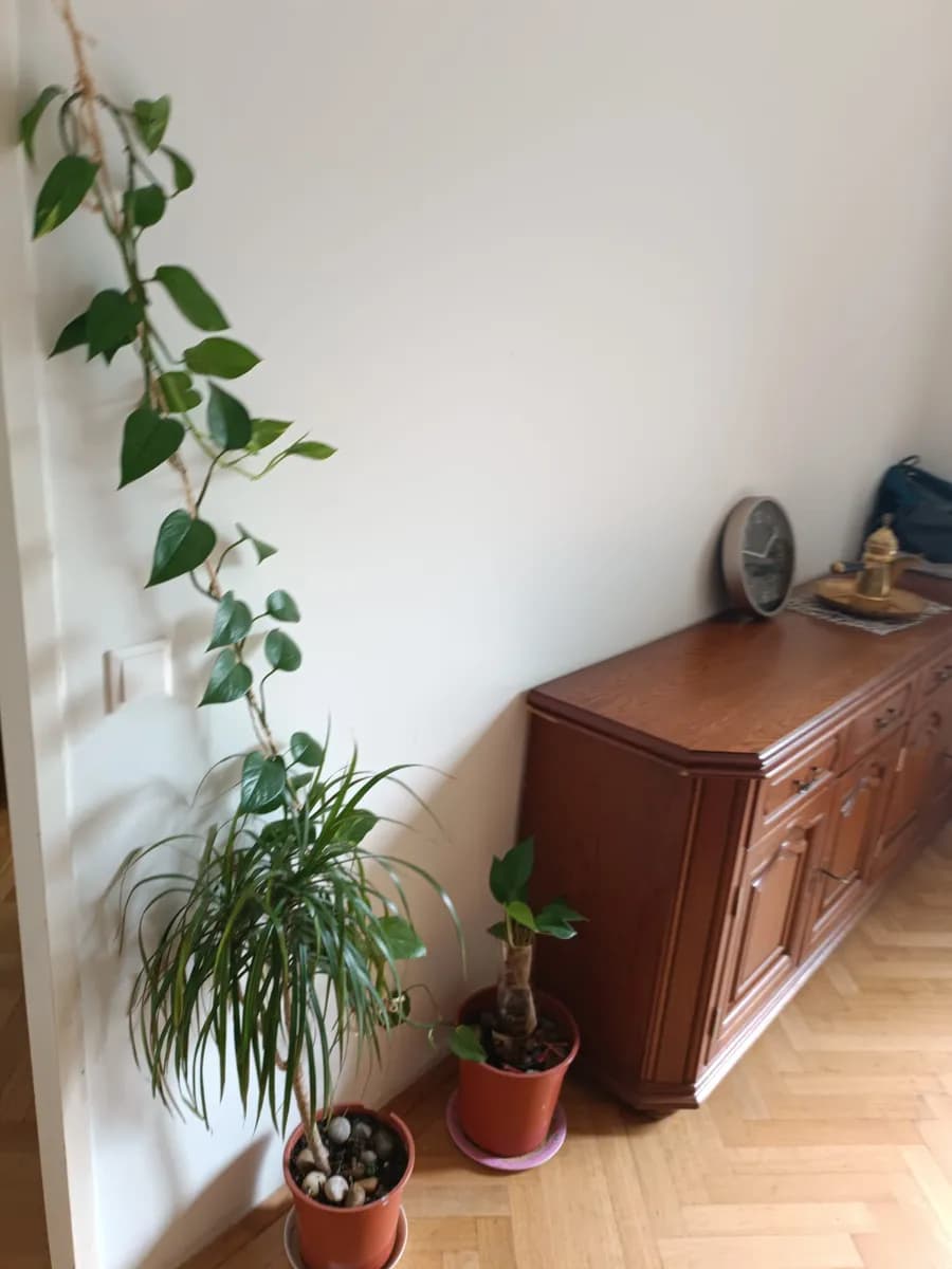 4-Zimmer-Wohnung mieten in Wien – 78 m², € 800 – Bild 5 von 13
