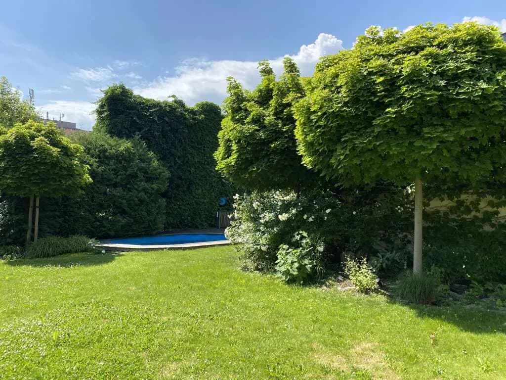 12-Zimmer-Gewerbeimmobilie kaufen in Wels – 364 m², € 1.700.000 – Bild 34 von 39
