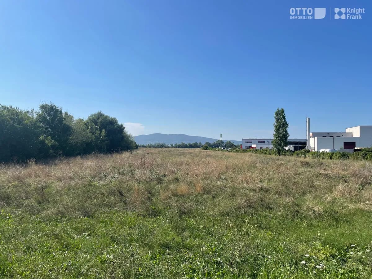 Immobilie kaufen in Baden – 10 000 m² – Bild 3 von 6
